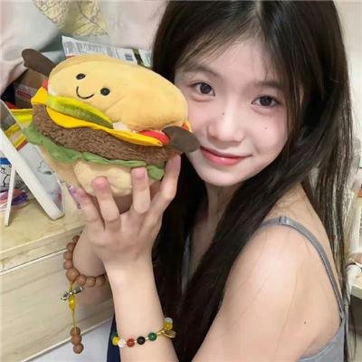 消失的大象