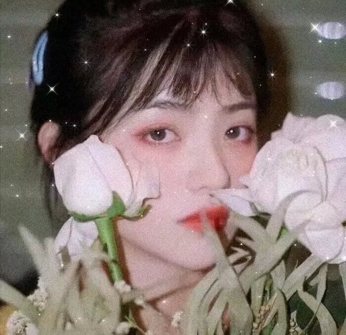 晨曦的梦