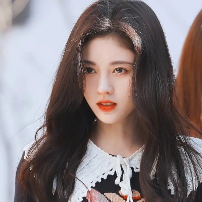 与森林共舞